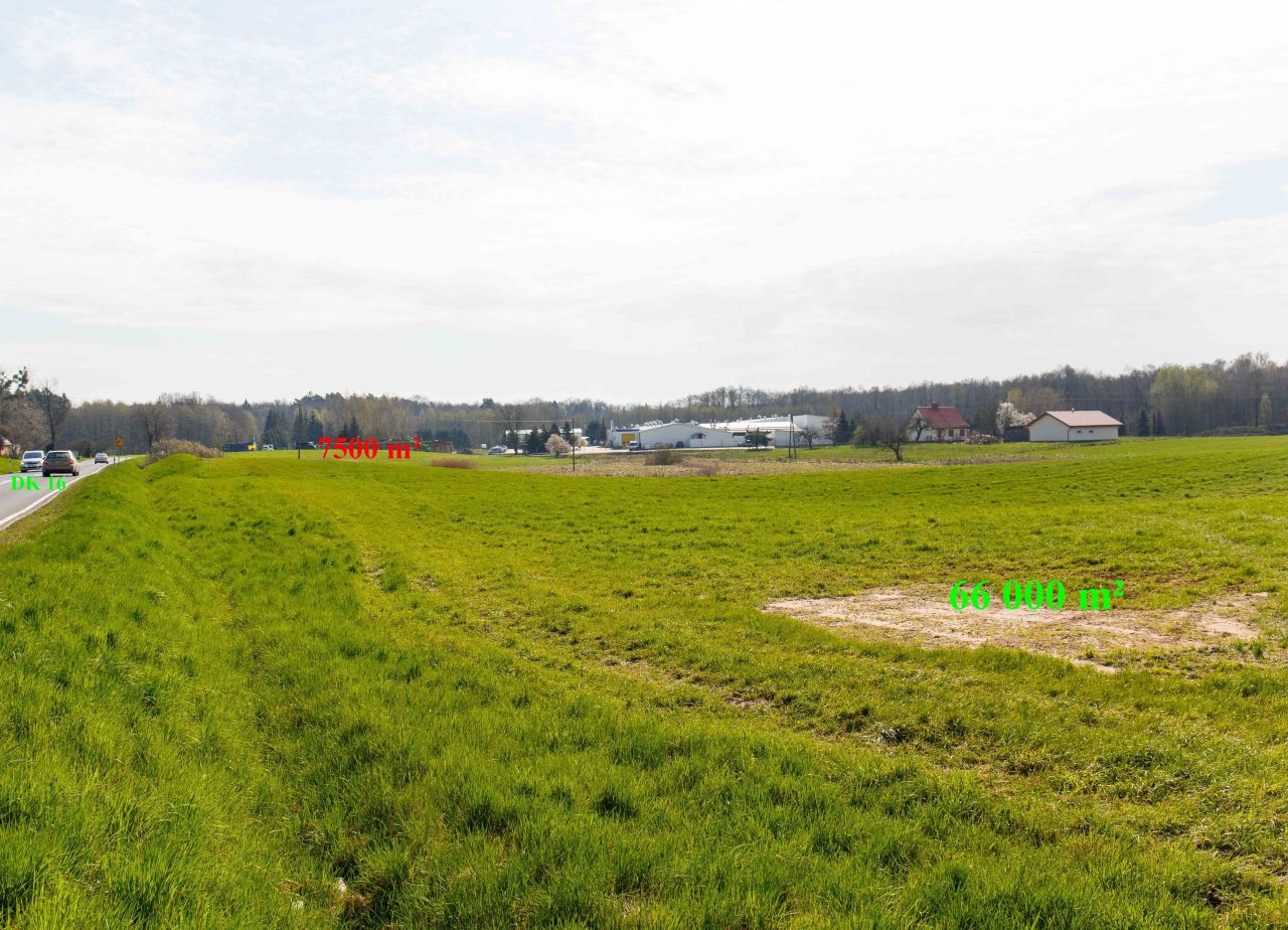 Działka inwestycyjna Laseczno. Zdjęcie 4