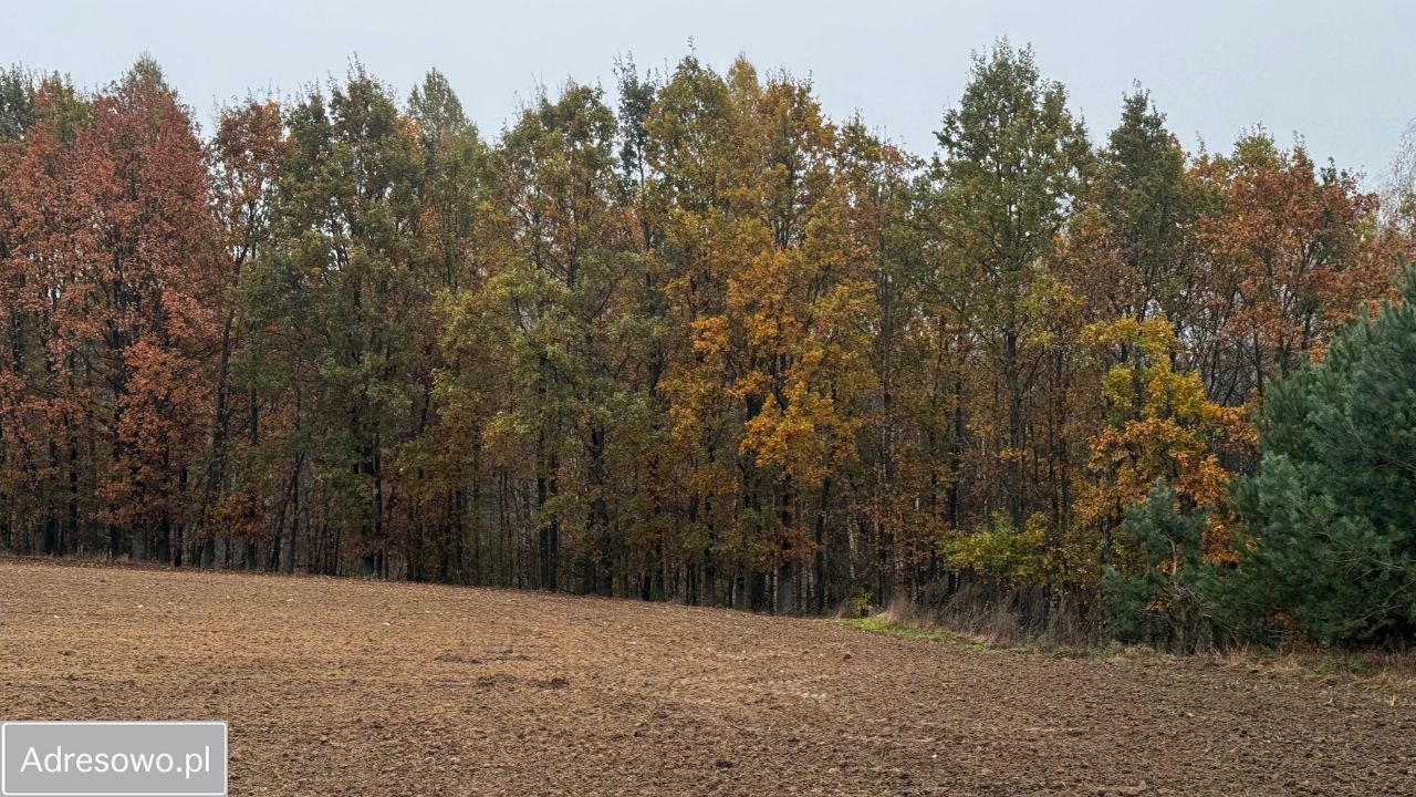 Działka rolno-budowlana Kąciki