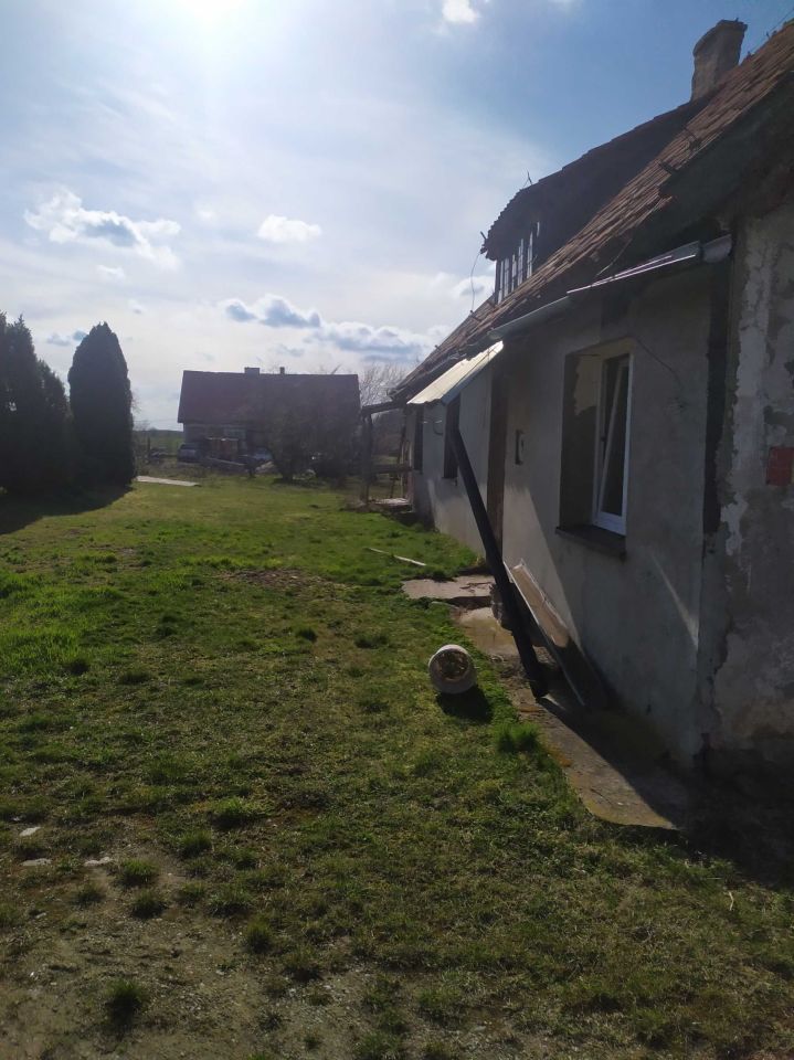 siedlisko Krzywińskie. Zdjęcie 5