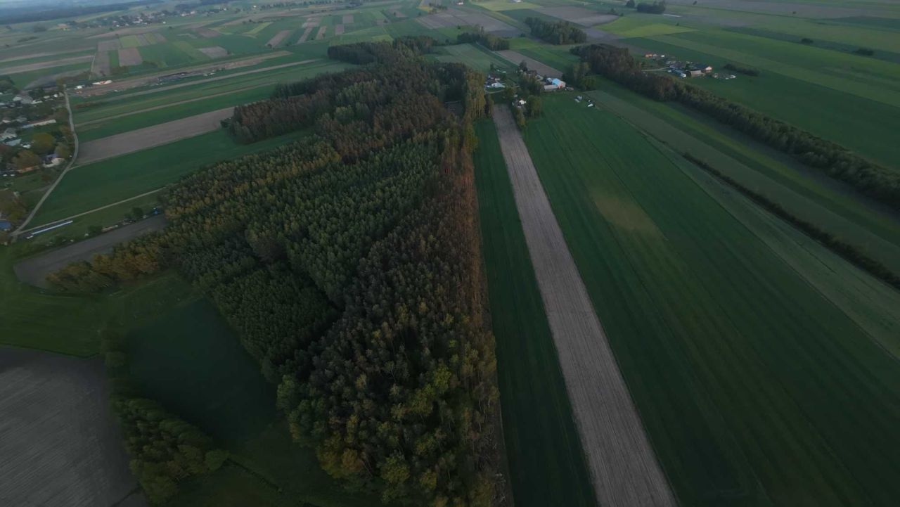 Działka budowlana Wrzoski. Zdjęcie 4