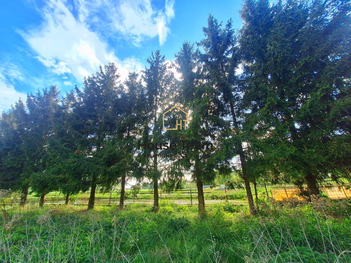 Działka rolna Czarnowo. Zdjęcie 4