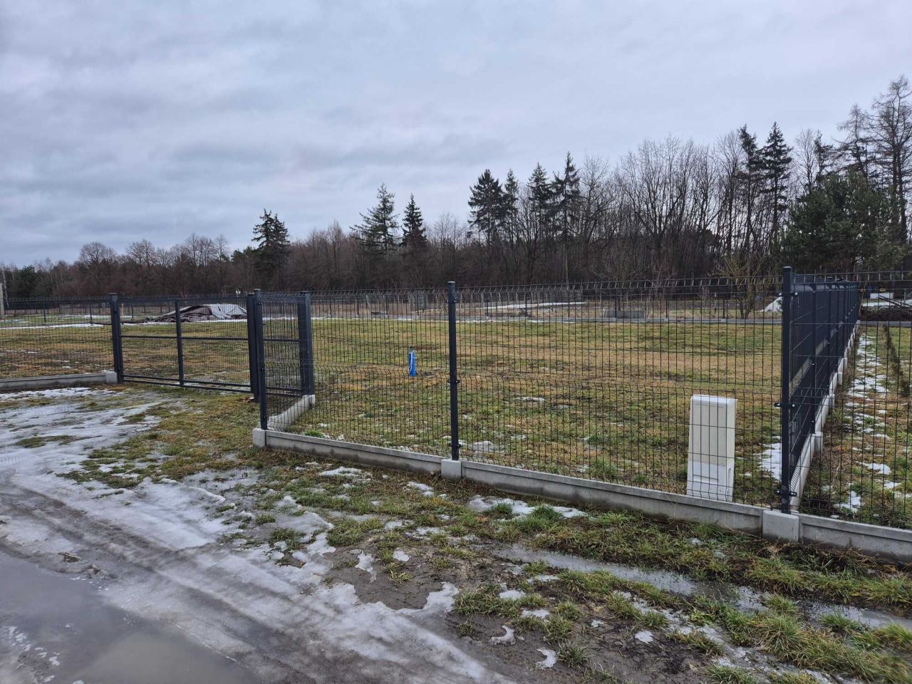 Działka budowlana Twarda. Zdjęcie 3