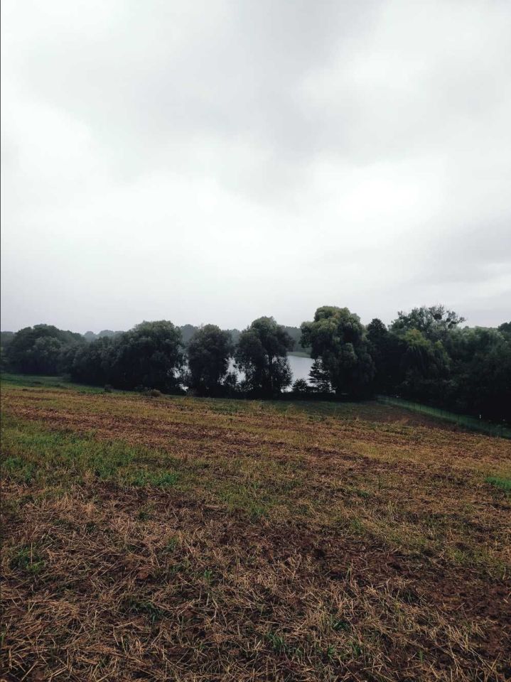 Działka rolno-budowlana Trąbin-Rumunki. Zdjęcie 6