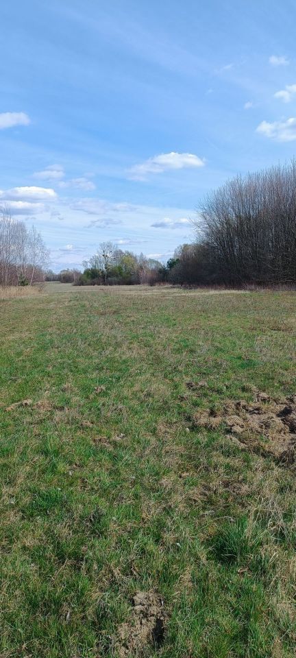 Działka inwestycyjna Żabia Wola. Zdjęcie 5