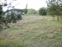 Działka rolno-budowlana Godzimierz. Zdjęcie 2