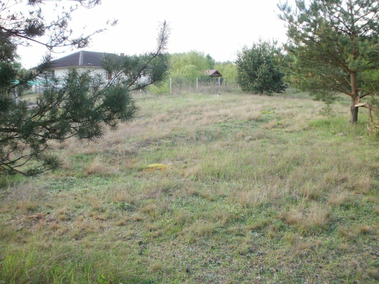 Działka rolno-budowlana Godzimierz. Zdjęcie 3