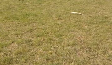 Działka rolna Lichawa