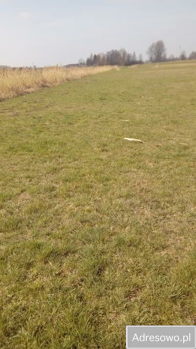 Działka rolna Lichawa. Zdjęcie 2