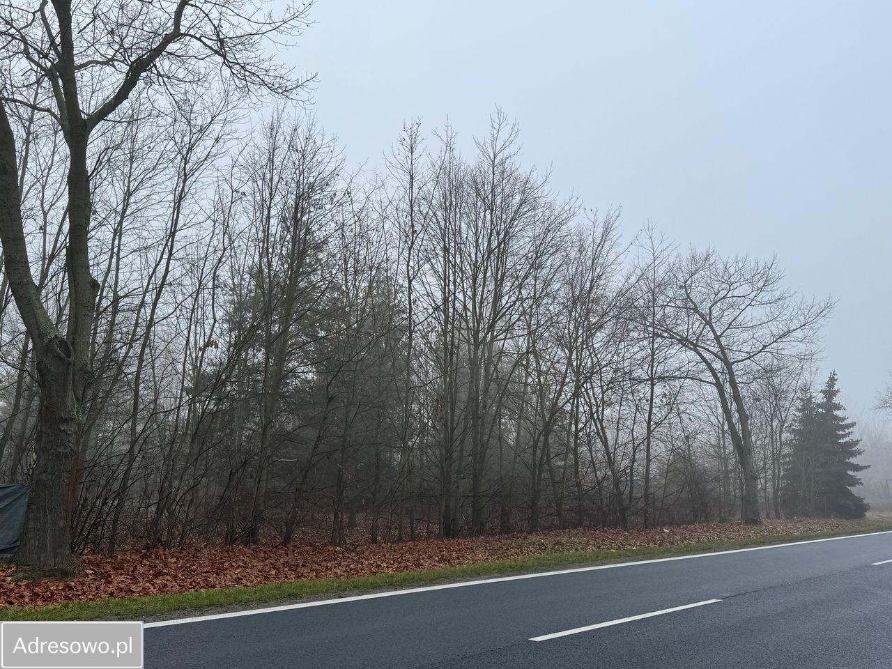 Działka budowlana Radwanków Szlachecki. Zdjęcie 3