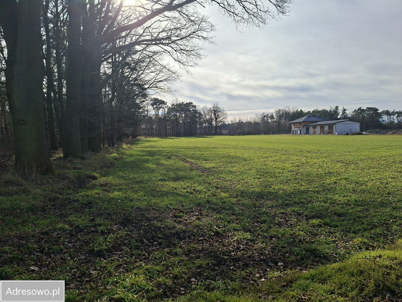 Działka rolna Zawada, ul. Luboszycka. Zdjęcie 10