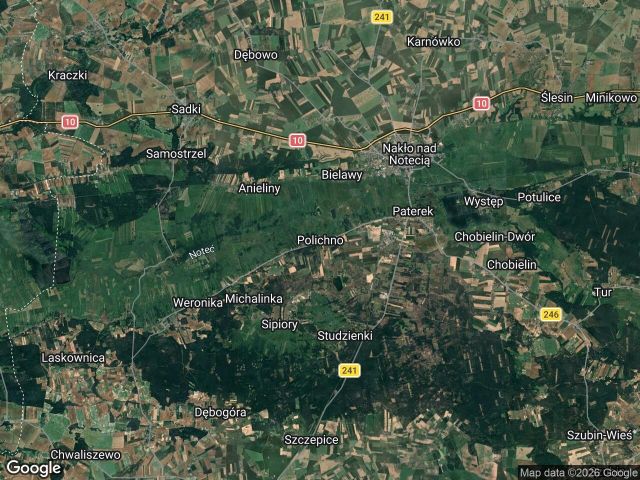 Działka rolna Polichno. Zdjęcie 1