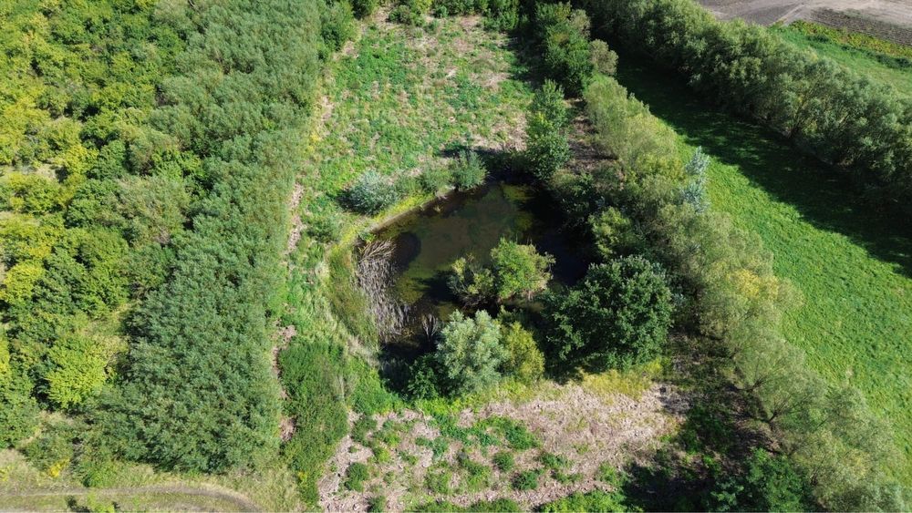 Działka budowlana Przybroda. Zdjęcie 6