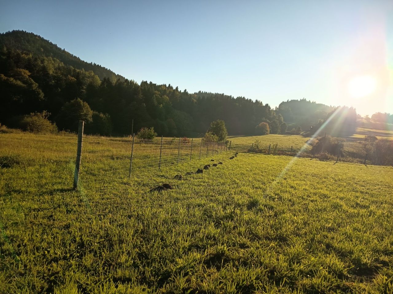 Działka rolno-budowlana Rupniów. Zdjęcie 3