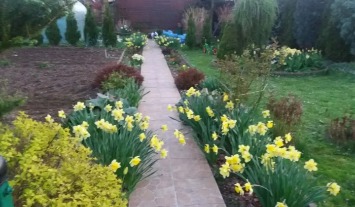 Działka rod Tarnobrzeg