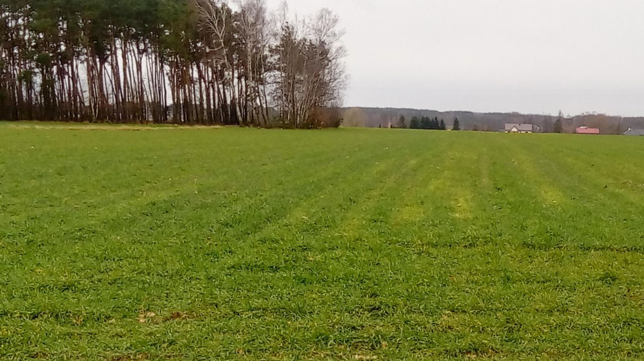 Działka rolno-budowlana Proboszczewice. Zdjęcie 2