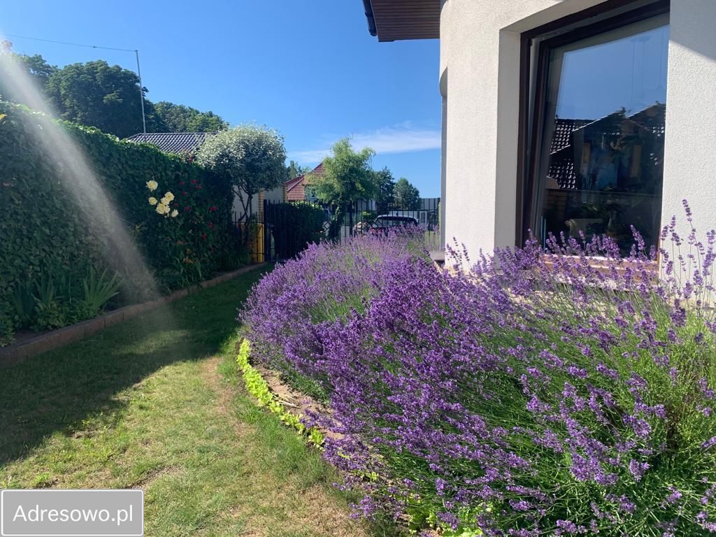 Hotel/pensjonat Darłowo, ul. Letnia. Zdjęcie 9