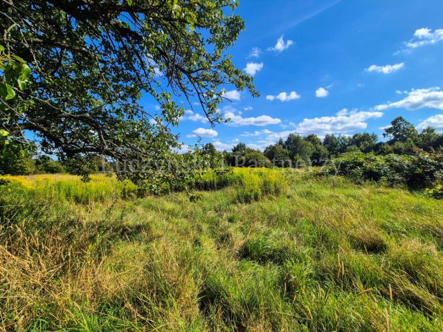 Działka siedliskowa Kłopotnica. Zdjęcie 3