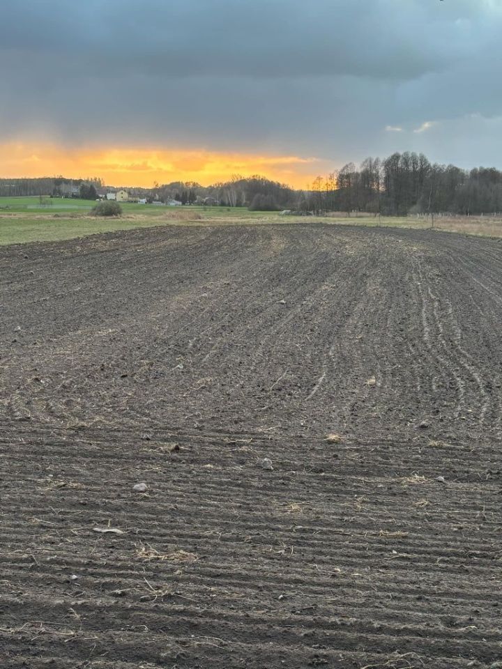 Działka rolno-budowlana Byszewice. Zdjęcie 3