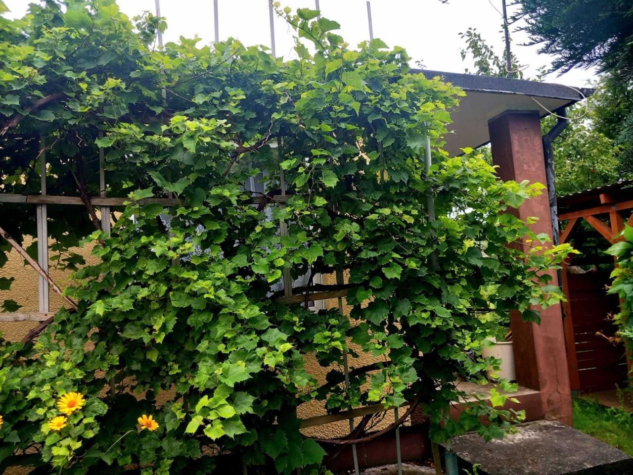 Działka rod Bydgoszcz, ul. Łochowska. Zdjęcie 6