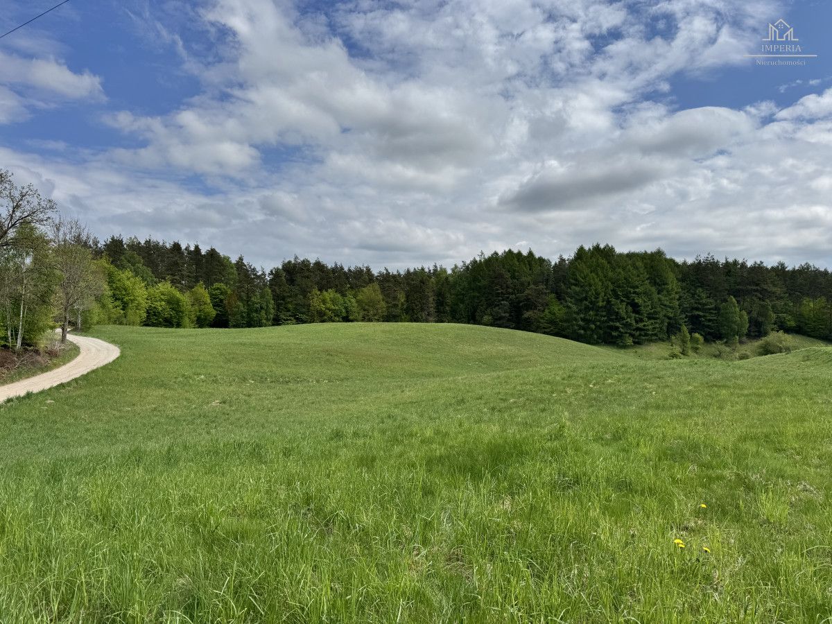 Działka budowlana Michalin, ul. Leśna Dąbrowa. Zdjęcie 10