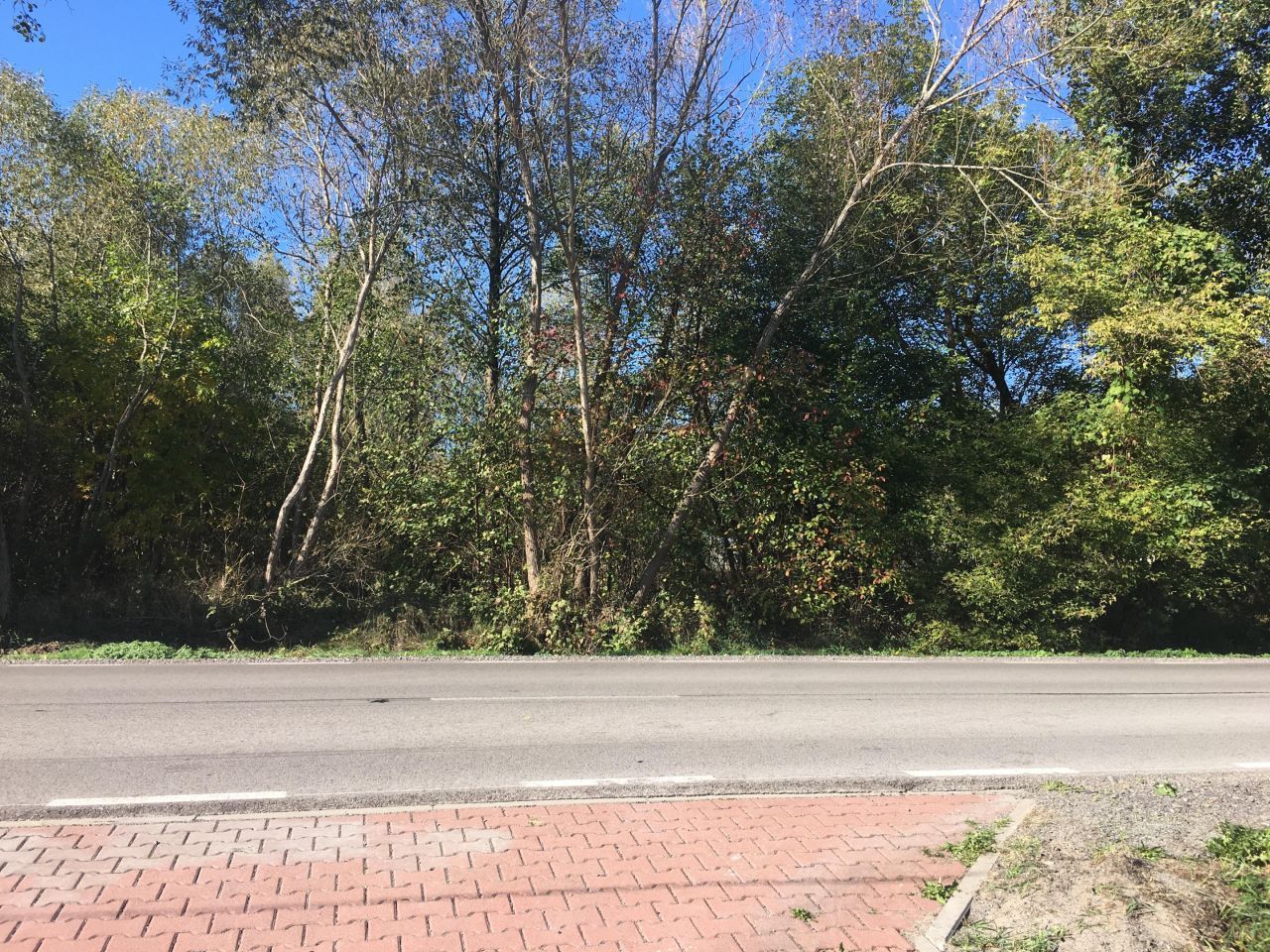 Działka rolno-budowlana Żdżarki. Zdjęcie 4