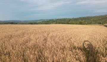 Działka rolno-budowlana Buchcice