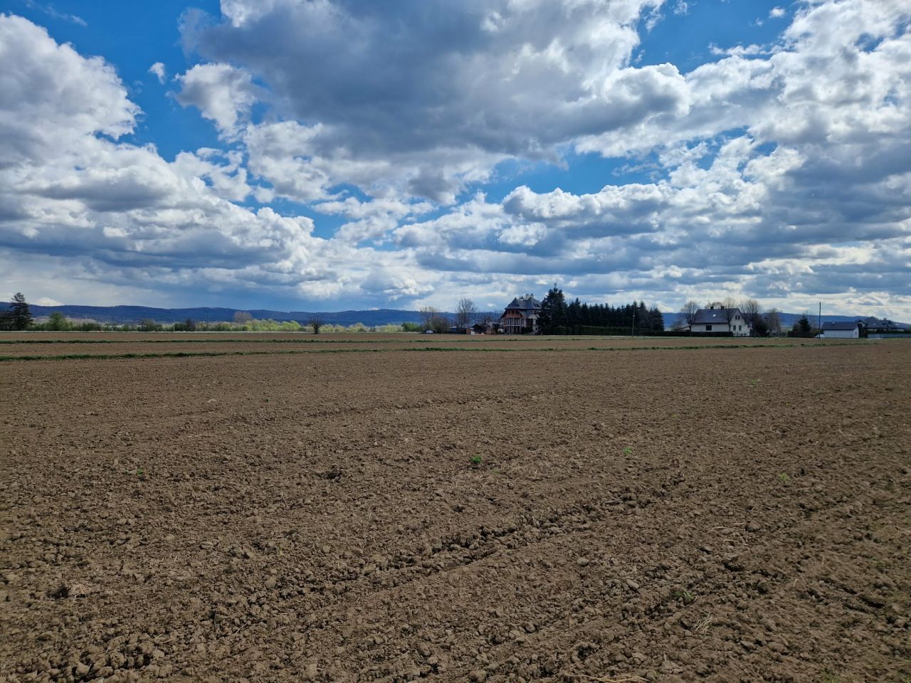 Działka budowlana Pilzno, ul. Grottgera. Zdjęcie 4