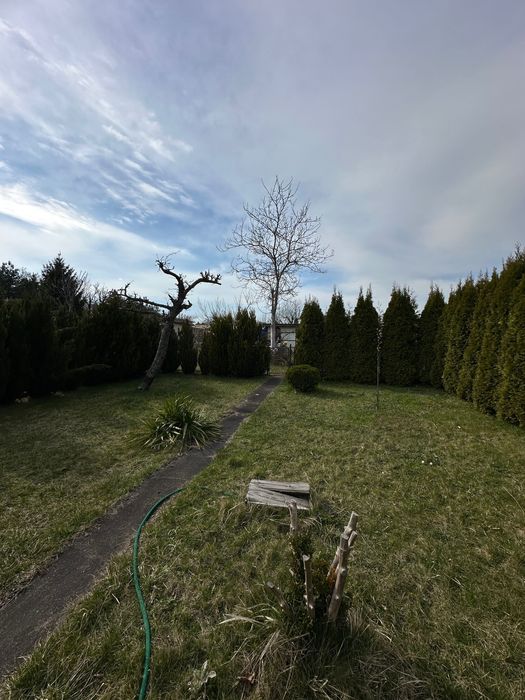 Działka rod Lubin. Zdjęcie 5