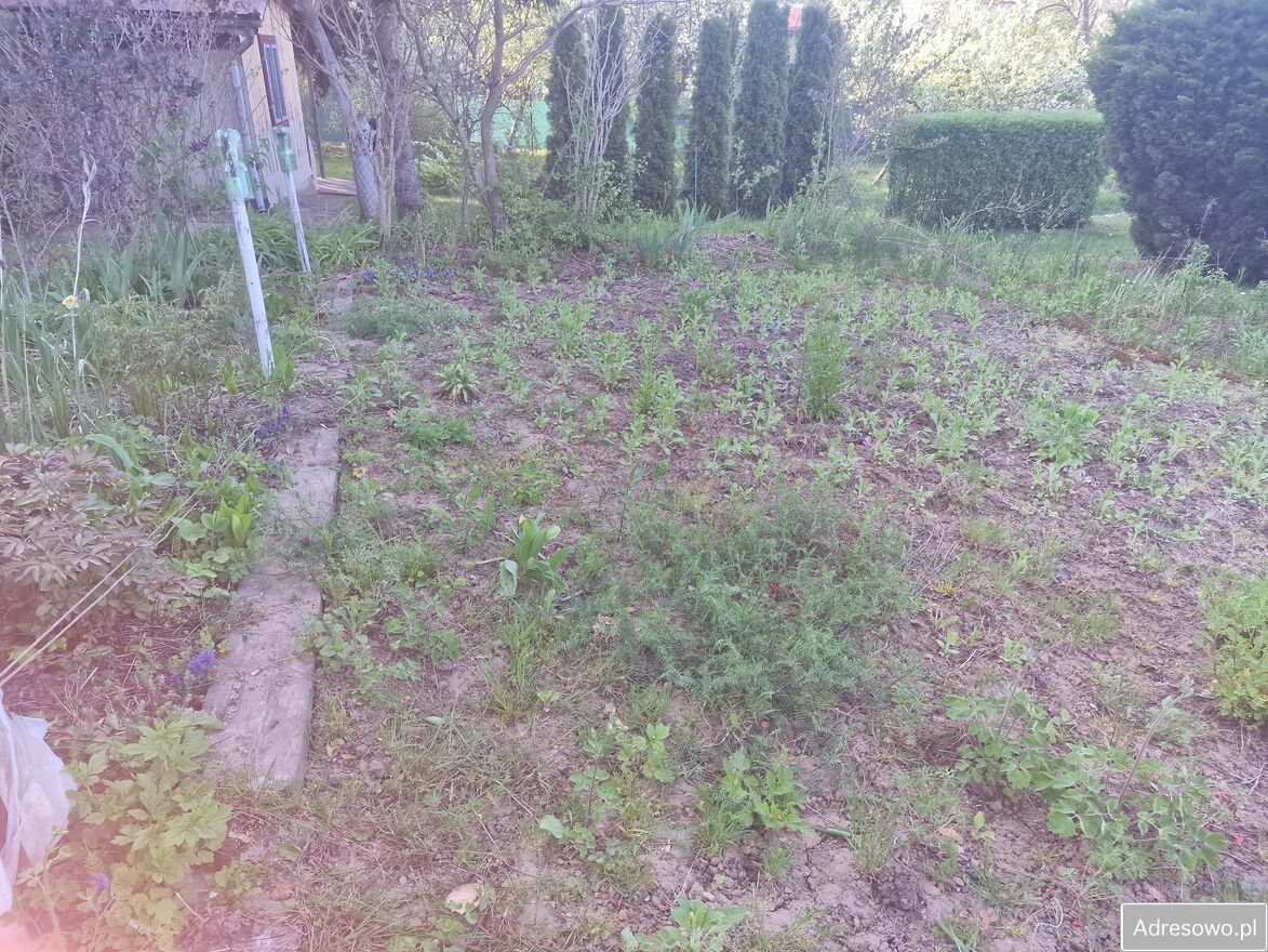 Działka rod Rzeszów, ul. Ciepłownicza. Zdjęcie 9