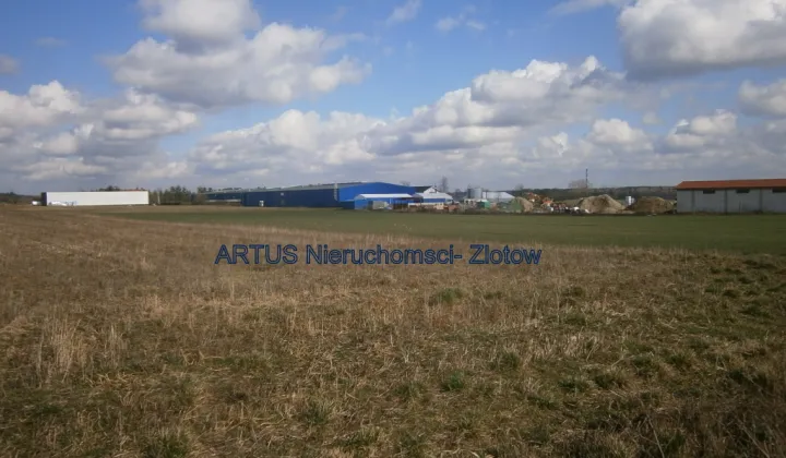 Nieruchomość komercyjna Złotów, Blękwit