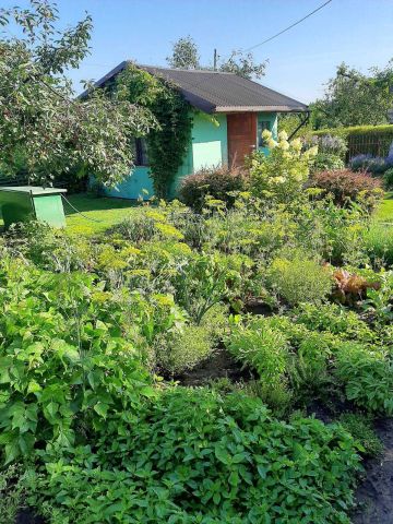 Działka rod Augustów. Zdjęcie 1