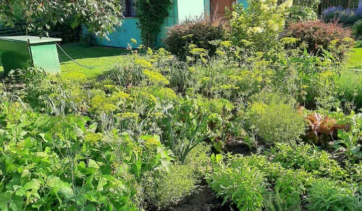 Działka rod Augustów