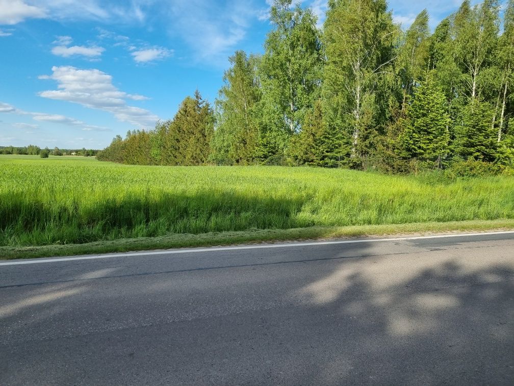 Działka budowlana Starościn. Zdjęcie 4