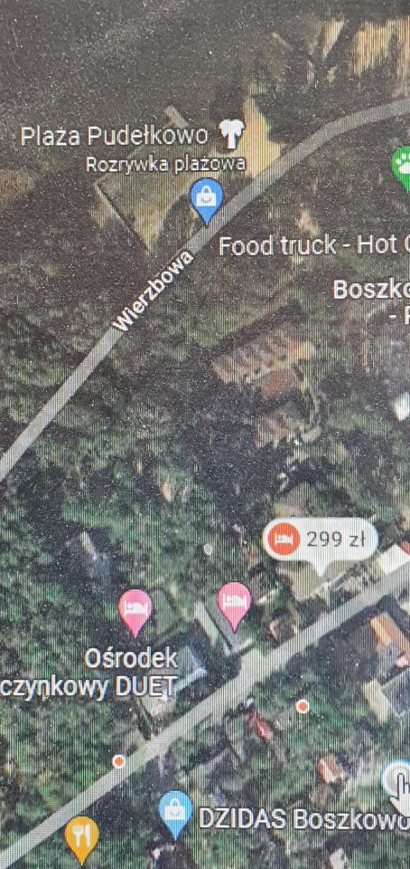 Nieruchomość komercyjna Boszkowo. Zdjęcie 5