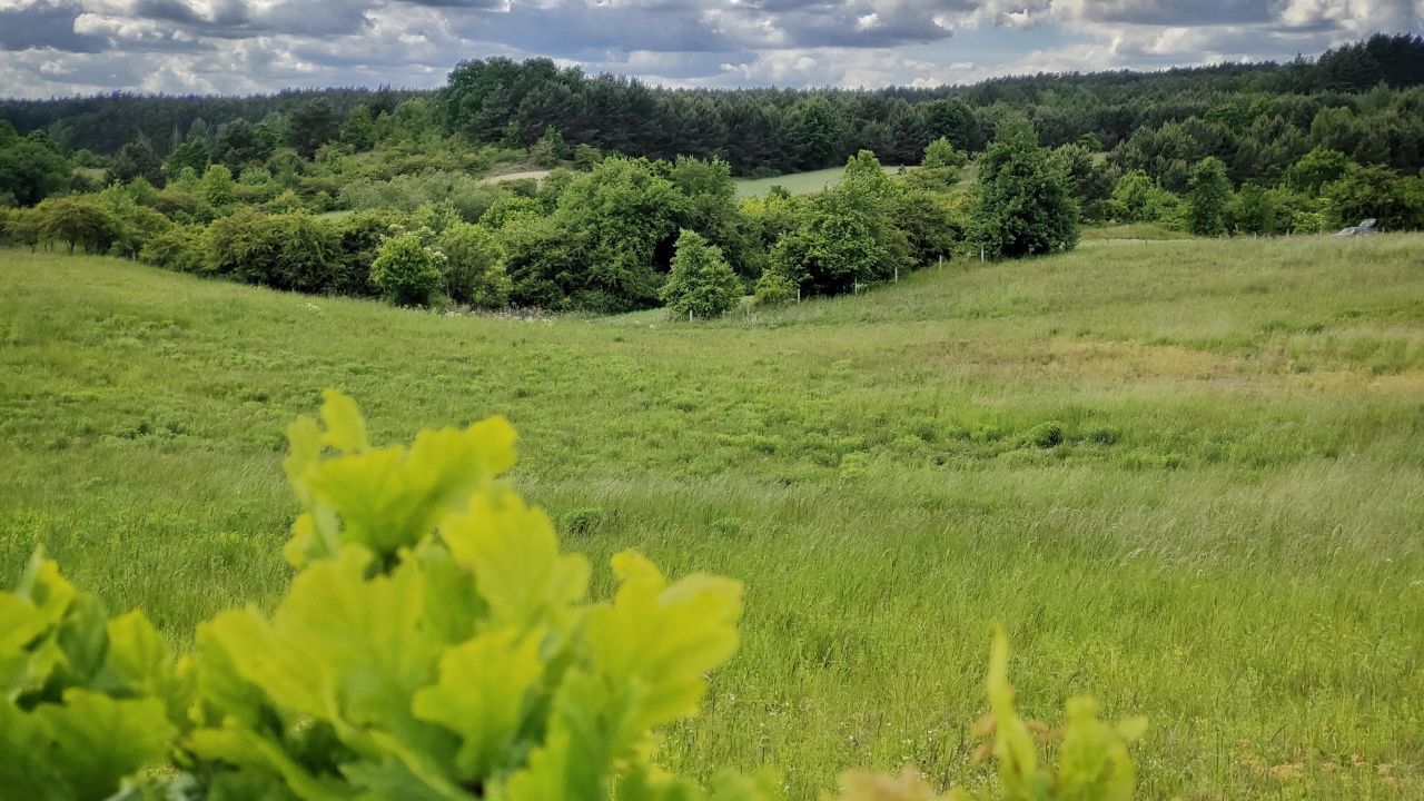 Działka rolna Łęgowo. Zdjęcie 9