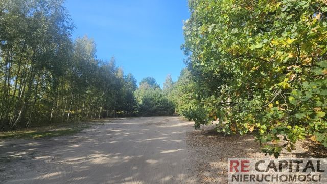 Działka budowlana Koczargi Stare. Zdjęcie 9