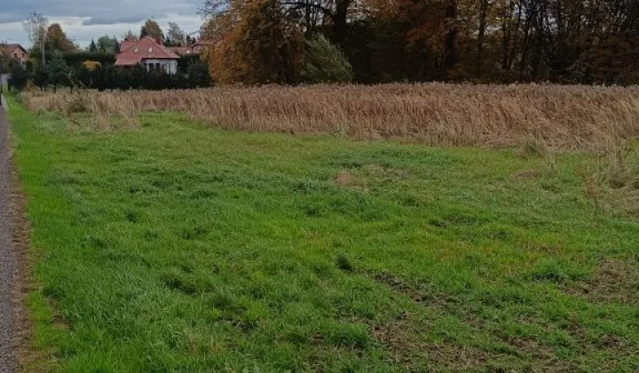 Działka rolna Świerklany, ul. Władysława Łokietka