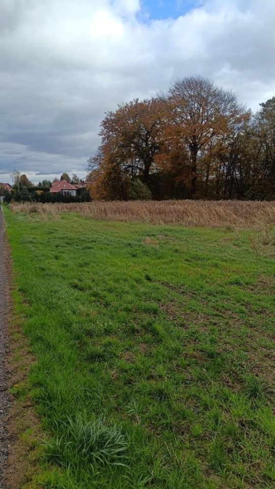 Działka rolna Świerklany, ul. Władysława Łokietka