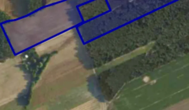 Działka rolna Zaborów Nowy