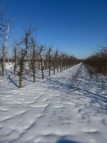 Działka rolna Brzozowa. Zdjęcie 1