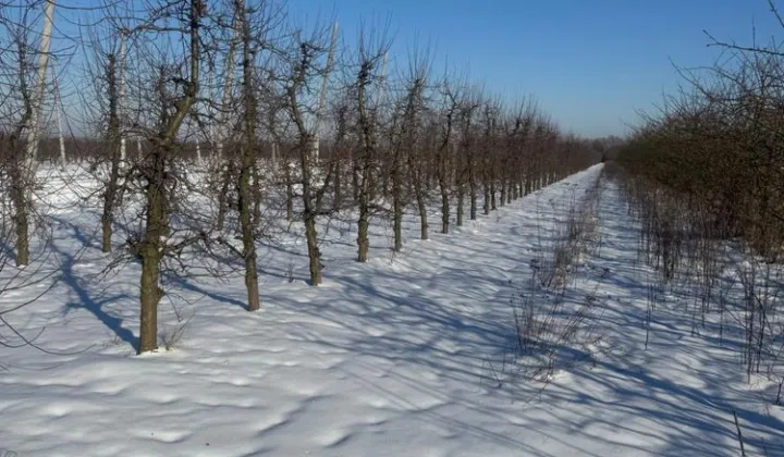 Działka rolna Brzozowa