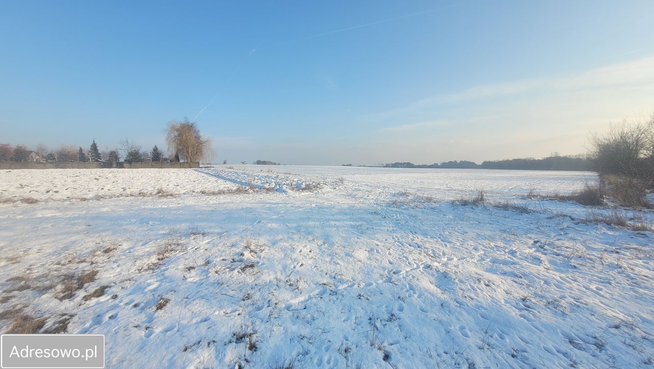 Działka budowlana Szewce, ul. Długa. Zdjęcie 4