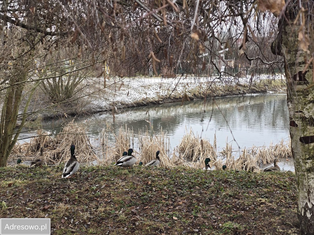 Mieszkanie 3-pokojowe Radom Gołębiów. Zdjęcie 19