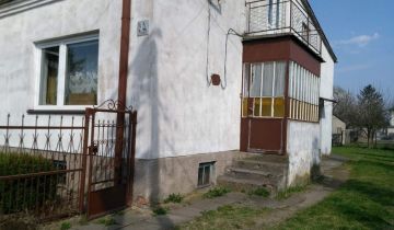 bliźniak Kiernozia