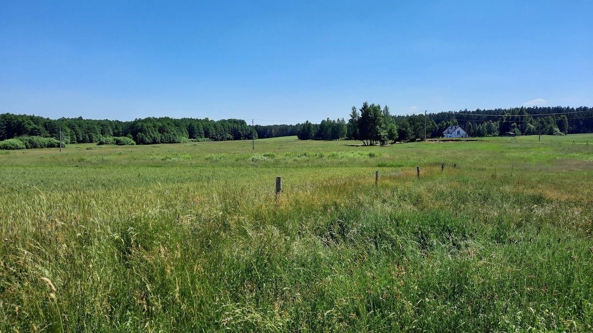 Działka rolna Gremzdy Polskie. Zdjęcie 6