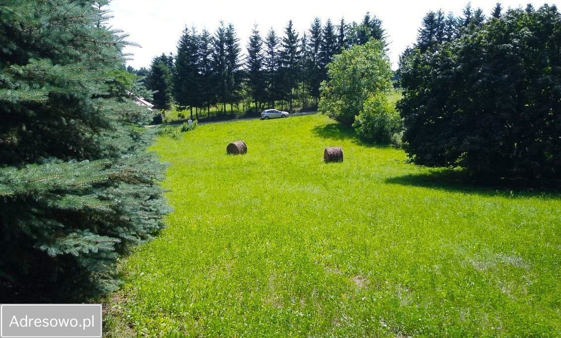 Działka rolna Konopnica. Zdjęcie 3