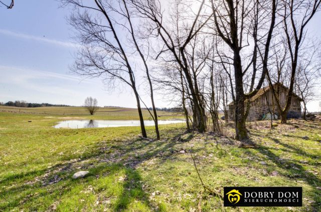 dom wolnostojący, 2 pokoje Iwaniszki. Zdjęcie 12