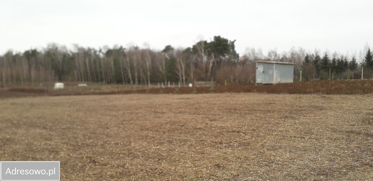 Działka budowlana Swoboda. Zdjęcie 2