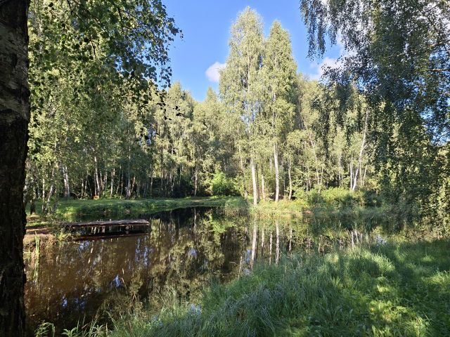 Działka budowlana Starzykowo. Zdjęcie 9