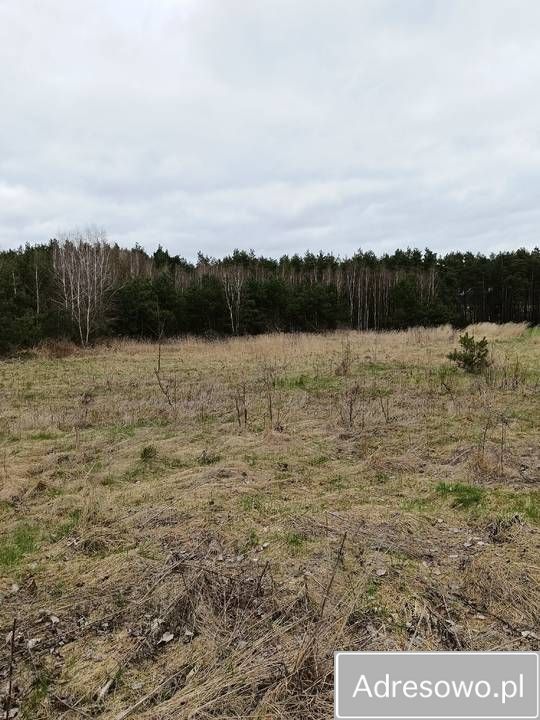 Działka Łowinia. Zdjęcie 8